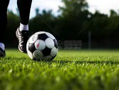 海外俱乐部,诚意邀请,你更倾向于,新葡京,新葡京app,新葡京娱乐,新普京赌场