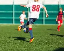 明年经济工,作指导,中央经济工,新葡京,新葡京app,新葡京娱乐,新普京赌场